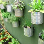 Urban Gardening