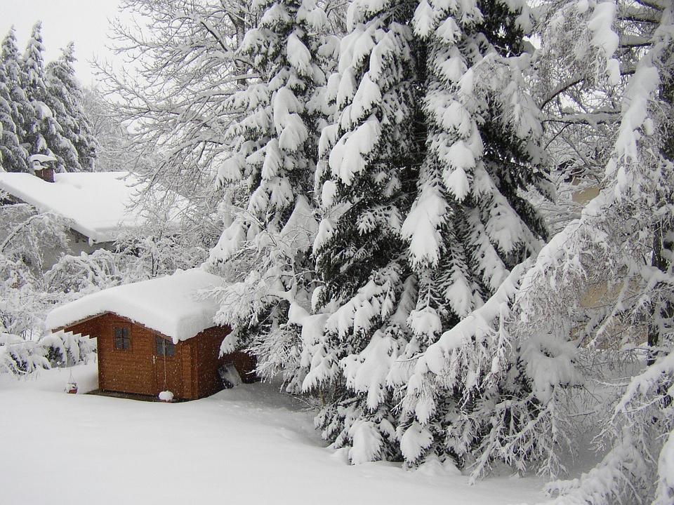 Preparing Your Garden for Winter? Don't wait until it is too late.