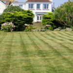 mowed-garden-lawn