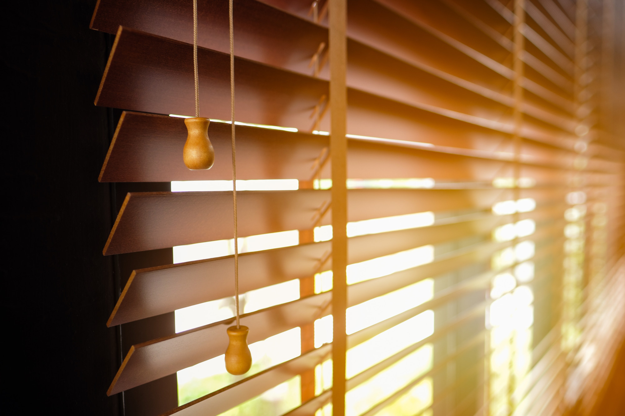 The Most Popular Types of Blinds for WindowsThe Urban Housewife